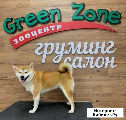 Стрижка собак и кошек Магадан - изображение 1