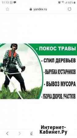 Спил деревьев,Уборка участков,покос травы Волгоград