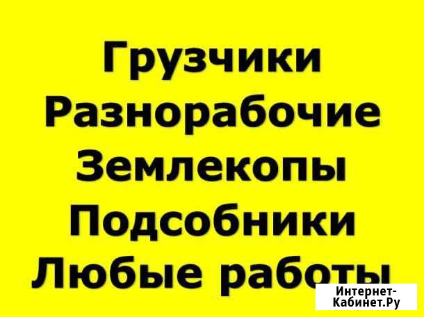 Грузчики Омск - изображение 1