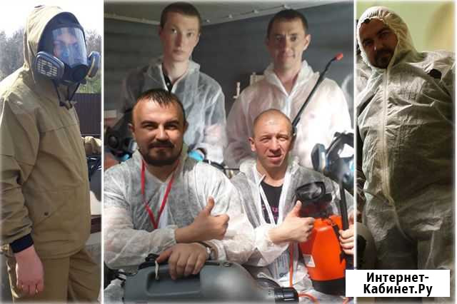 Уничтожение Клопов Тараканов Крыс I Дезинфекция Москва - изображение 1