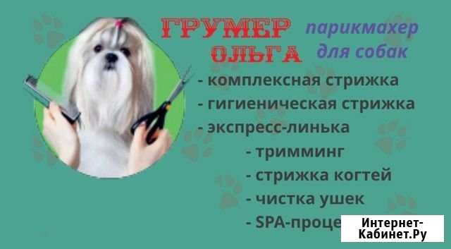 Груминг - стрижка собак в Елабуге Елабуга - изображение 1