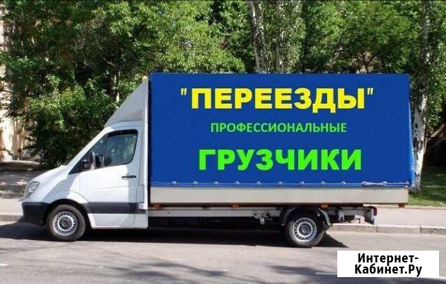 Переезды. Услуги грузчиков. Вывоз мусора Волгоград - изображение 1