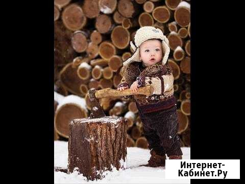 Дрова Киров - изображение 1