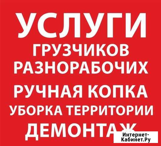 Услуги Разнорабочих/Демонтаж/Уборка Снега/Копка Ижевск - изображение 1
