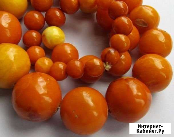 Деловые услуги Серпухов - изображение 1