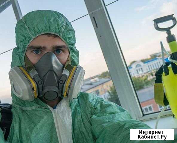 Уничтожение насекомых. Частный мастер Стройкерамика - изображение 1