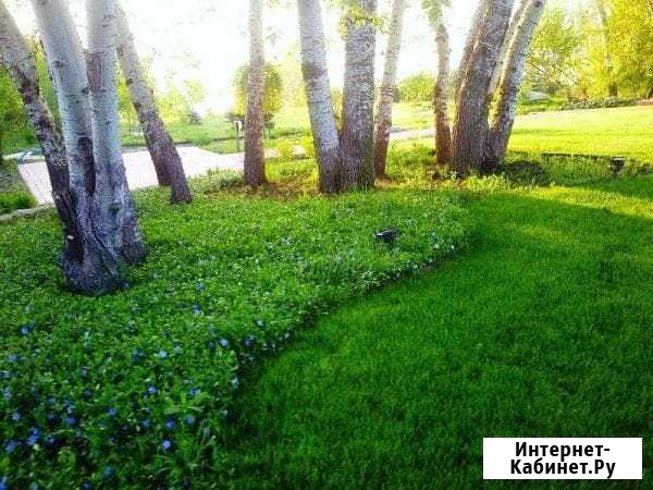 Приму грунт Лаишево - изображение 1