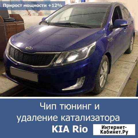 Удаление катализаторов , проффесиональный выхлоп Геленджик