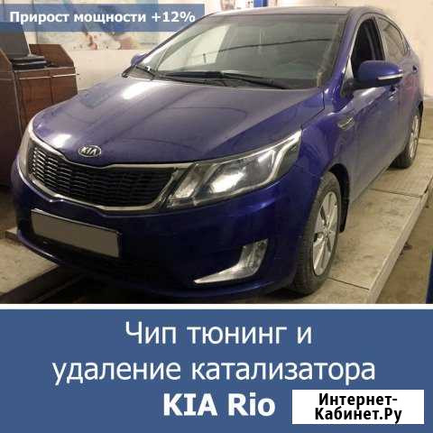 Удаление катализаторов , проффесиональный выхлоп Геленджик - изображение 1