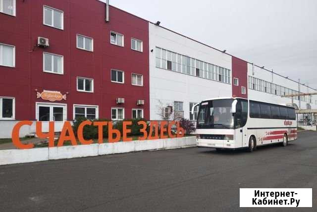 Заказ,аренда автобуса Пермь - изображение 1