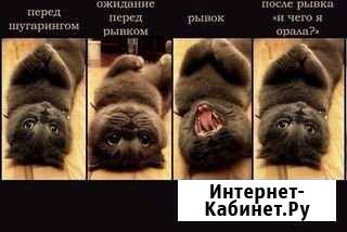 Шугаринг (Летчики) Севастополь - изображение 1
