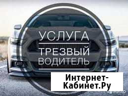 Трезвый водитель Йошкар-Ола - изображение 1
