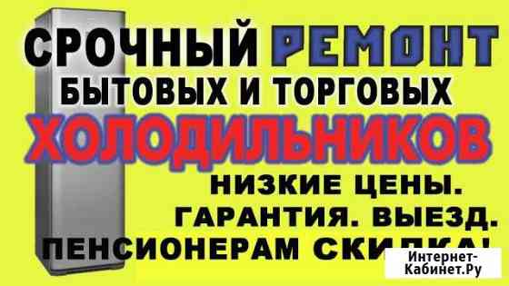 Холодильников ремонт в Камешково срочный на дому Камешково