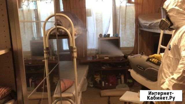 Уничтожение клопов, тараканов, крыс, мышей, клещей Москва - изображение 1
