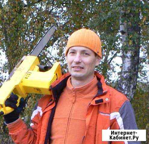 Спилить деревья на участке частями, аварийные дере Москва
