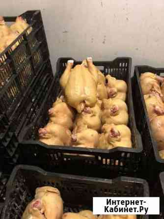 Продаем охлажденные тушки домашних кур бройлера Краснодар