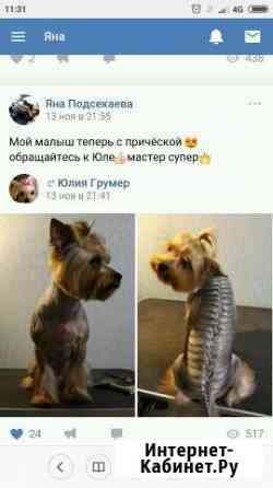 Стрижка собак и кошек Екатеринбург