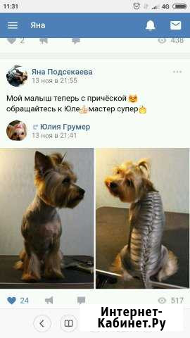 Стрижка собак и кошек Екатеринбург - изображение 1
