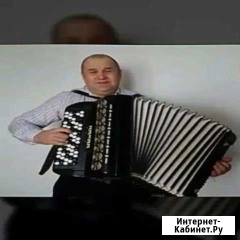 Поющий баянист Калуга - изображение 1