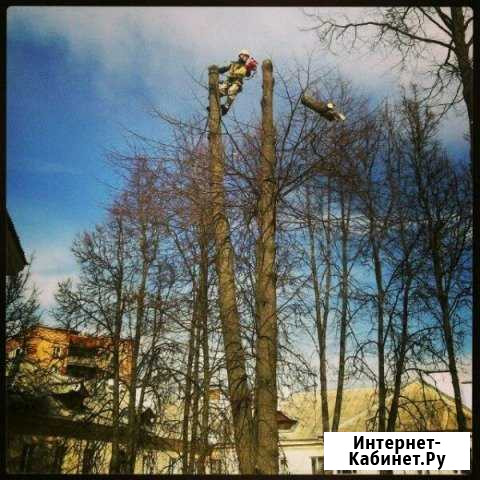 Спилить дерево. Удалить дерево. Срубить дерево Москва - изображение 1