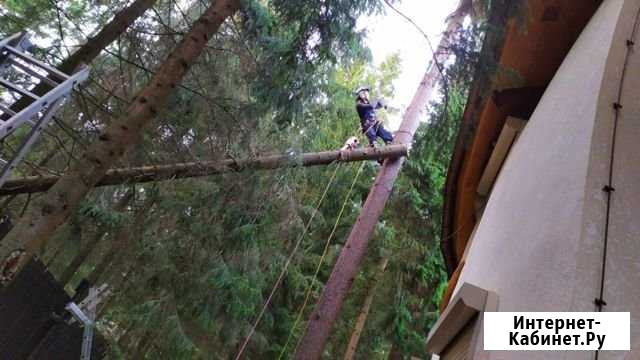 Спил деревьев корчевка Зимовники - изображение 1