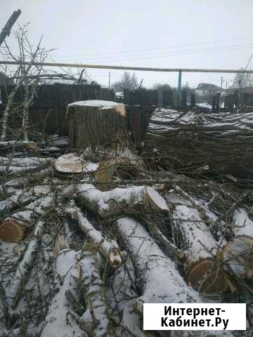 Спил деревьев в Белгороде и области Белгород - изображение 1
