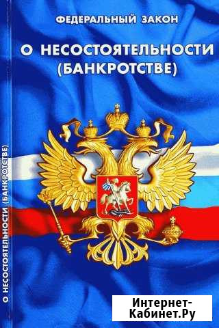 Специалист по торгам по банкротству по 127-фз Красноярск - изображение 1