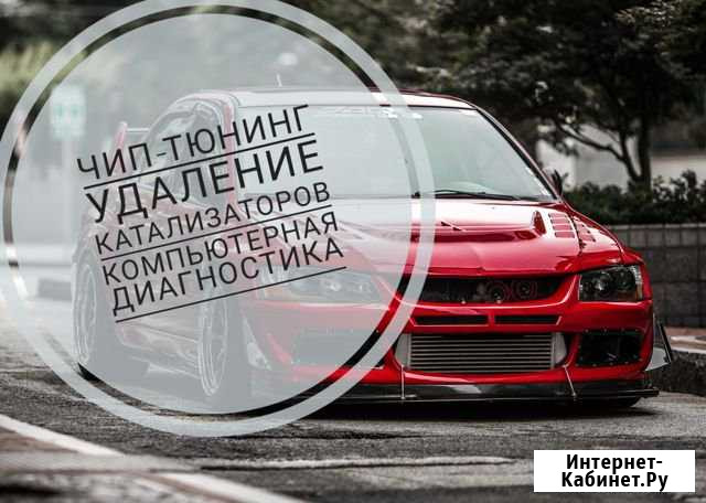 Чип-тюнинг, удаление катализаторов Курск - изображение 1