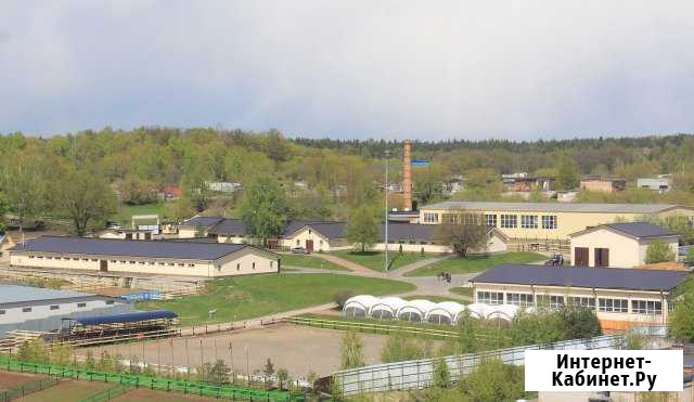 Постой для лошадей в кск евро-уровня г.Лыткарино Лыткарино - изображение 1