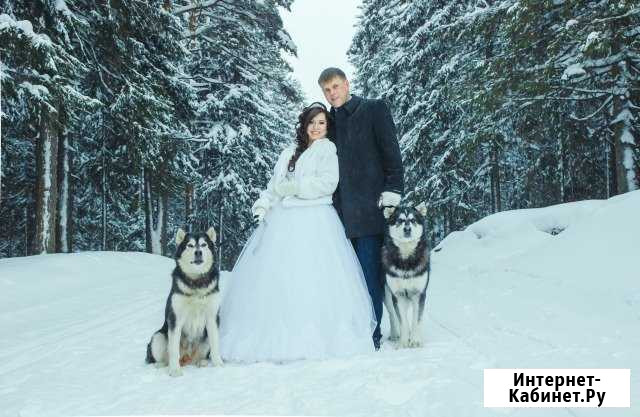 Свадебный фотограф Краснодар - изображение 1