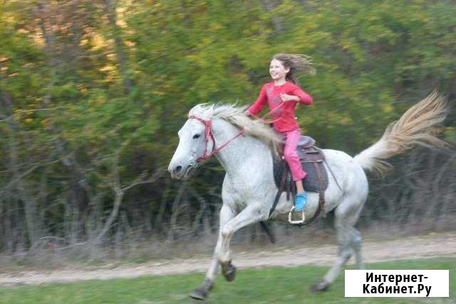 Конные прогулки 40 км от Краснодара Краснодар - изображение 1