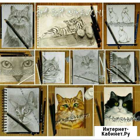 Человек который рисует кошек Калуга - изображение 1