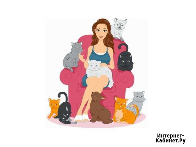 Котоняня. Корма и когтеточки для животных Киров - изображение 1