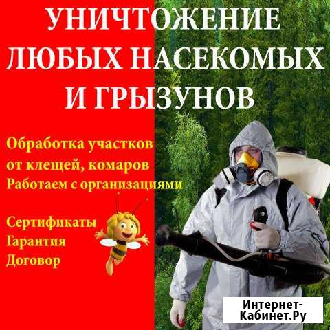 Травим клопов, тараканов, муравьев,насекомых Сургут - изображение 1