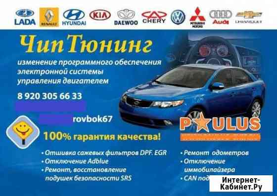 Чиптюнинг в Смоленске. Удалить DPF, FAP, EGR immo Смоленск