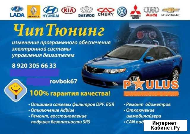 Чиптюнинг в Смоленске. Удалить DPF, FAP, EGR immo Смоленск - изображение 1