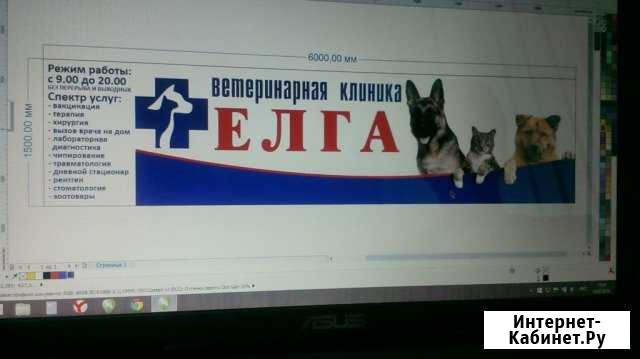Услуги ветеринарного доктора и грумера Тимашевск - изображение 1