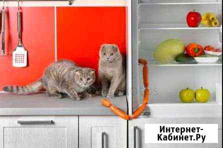 Ремонт холодильников Москва