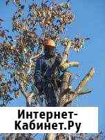 Спиливание, опил деревьев Липецк
