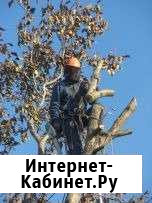 Спиливание, опил деревьев Липецк - изображение 1