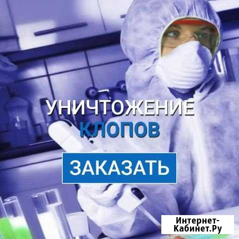 Уничтожение клопов, тараканов, мышей. Гарантия Челябинск - изображение 1