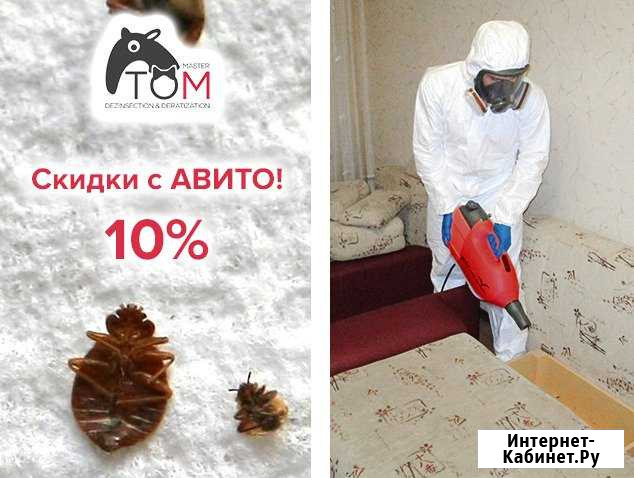Уничтожение клопов Подольск - изображение 1