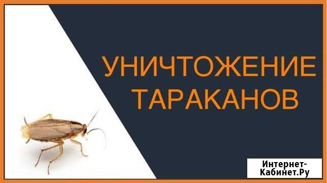 Уничтожения тараканов,клещей,клопов,грызунов Чита - изображение 1