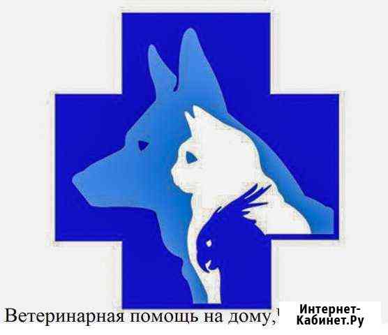Ветеринарная помощь,выезд на дом круглосуточно Челябинск