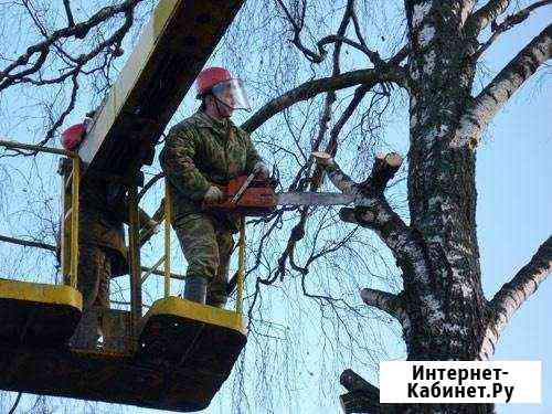 Спил деревьев Вывоз веток Минеральные Воды