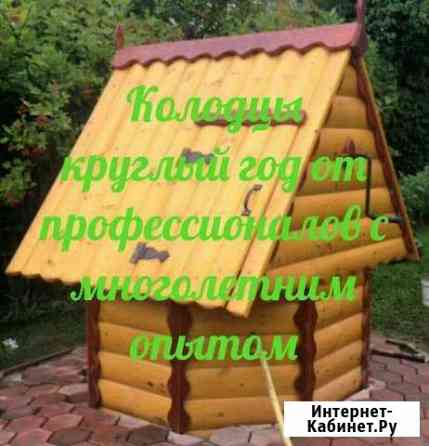 Колодцы и септики Лобня