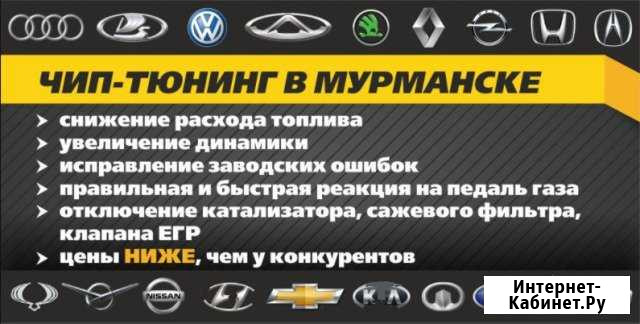 Чип-тюнинг в Мурманске Мурманск - изображение 1