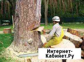 Спил деревьев, покос травы, уборка территории, сло Краснодар