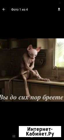 Маст. ногтевого серв и бровист, депиляция, прокол Раменское - изображение 1