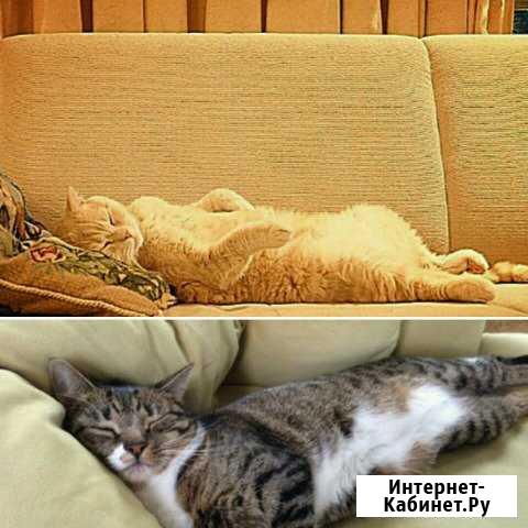 Химчистка на дому Калязин - изображение 1